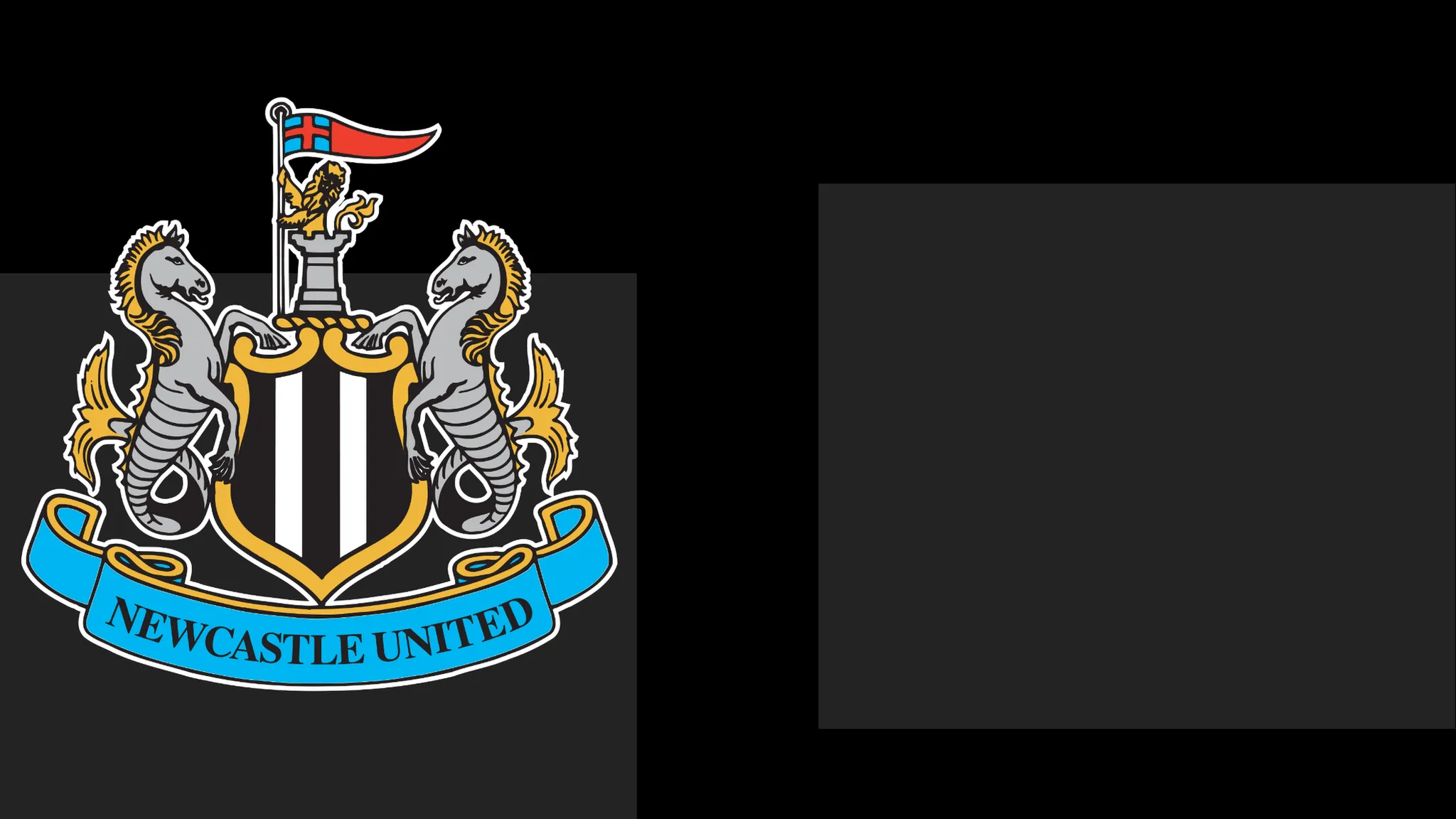 NUFC Issue Apology to Supporters Following Season Ticket Issue